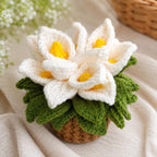 Gehäkeltes Blumen-Untersetzer-Set, 2-in-1-Untersetzer, verziert mit floralen Mustern, handgefertigte Untersetzer
